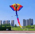15m Single Line Ray Fish Inflatable Kite